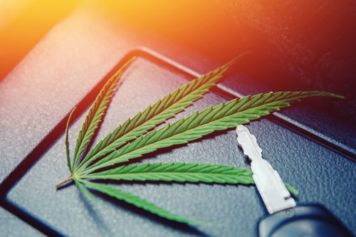 MPU Prüfung wegen Cannabis am Steuer
